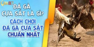 Đá Gà Cựa Sắt - Trận Chiến Đỉnh Cao Tạo Kèo Hấp Dẫn 8KBET