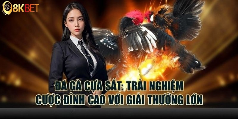 Đá gà cựa sắt quy định cụ thể về thời gian thi đấu