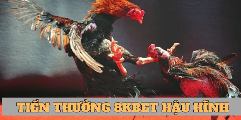 Nhà cái trả mức tiền thưởng hậu hĩnh 